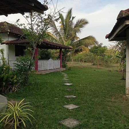 Apartmán Sunshine Cafe Tangalle Exteriér fotografie