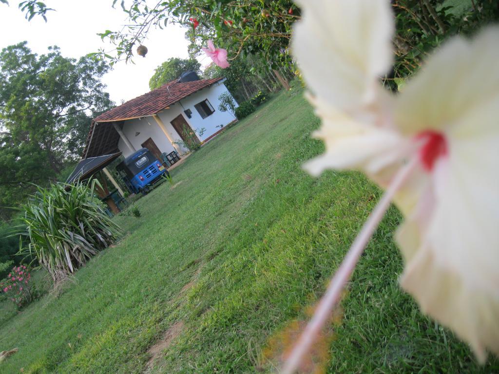 Apartmán Sunshine Cafe Tangalle Exteriér fotografie