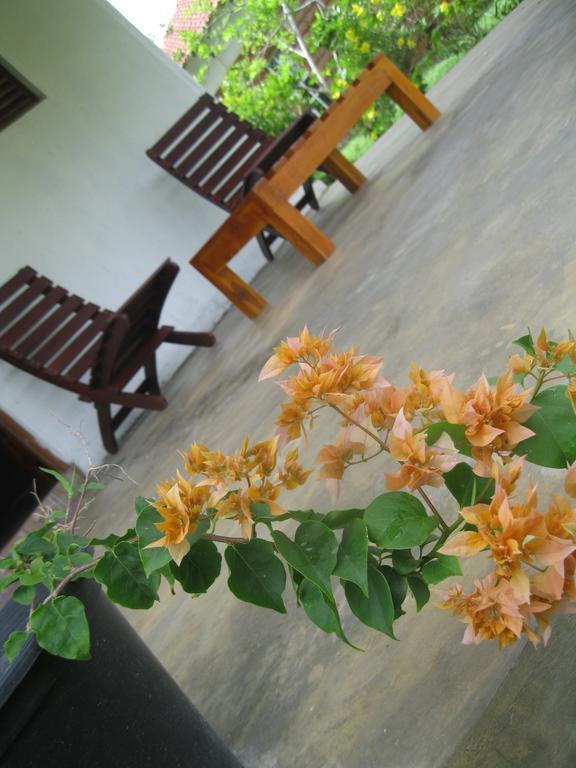 Apartmán Sunshine Cafe Tangalle Exteriér fotografie