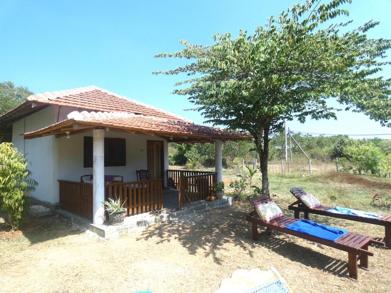 Apartmán Sunshine Cafe Tangalle Exteriér fotografie